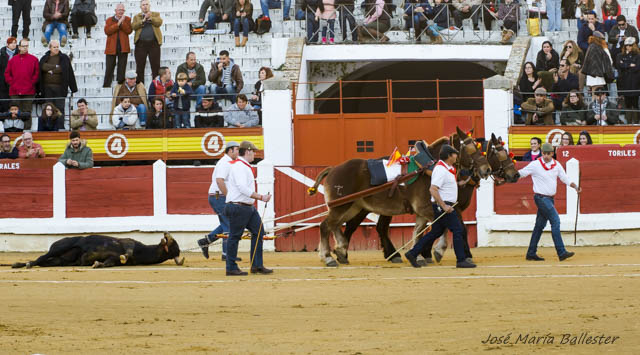 Vuelta al ruedo al novillo de García de la Peña