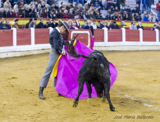 Roberto Gallardo y el novillo de El Madroñal