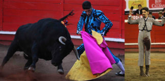 Talavante durante sus dos actuaciones en Manizales (FOTO: Julián Velasco)