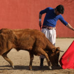 Talavante tentando en una imagen de archivo (FOTO: Gallardo)