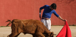 Talavante tentando en una imagen de archivo (FOTO: Gallardo)