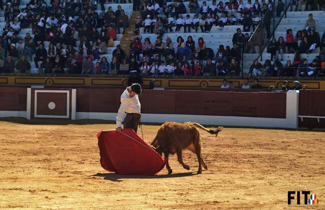 Derechazo a una de sus eralas