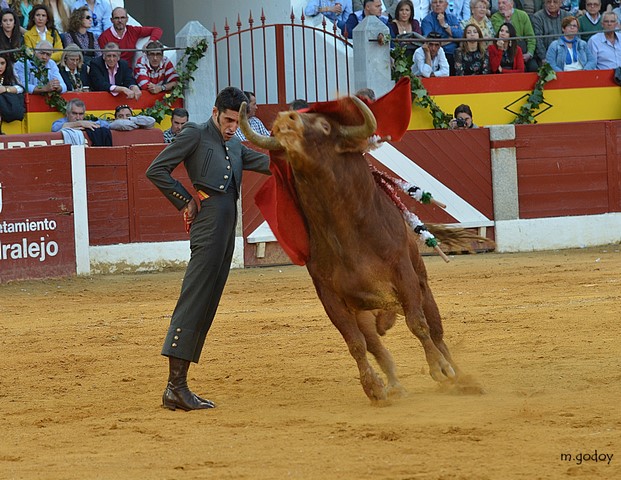 Alejandro Talavante