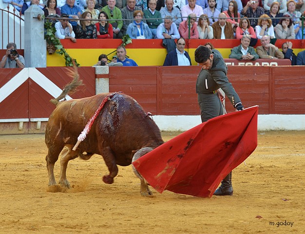 Alejandro Talavante