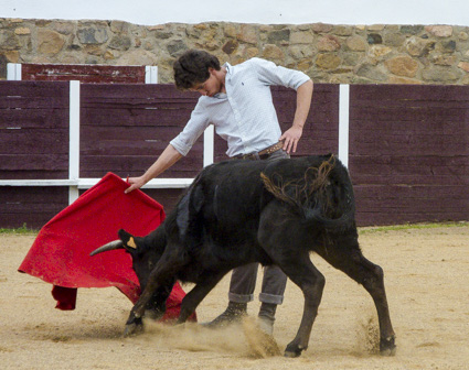 Ginés Marín