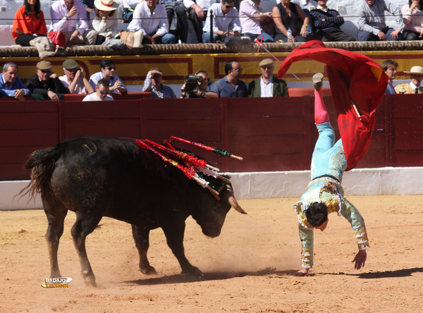 Juan Carlos Carballo, volteado por su novillo