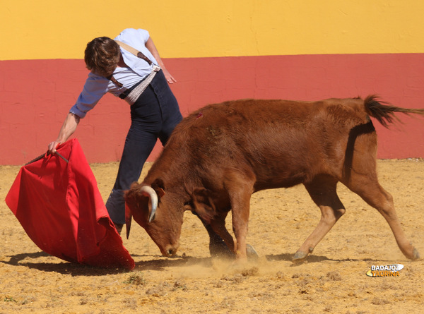 Lama de Góngora