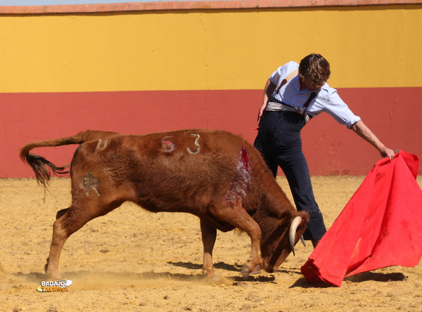 Lama de Góngora