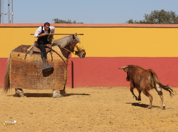 Antonio Ferrera picó, magistralmente, dos vacas