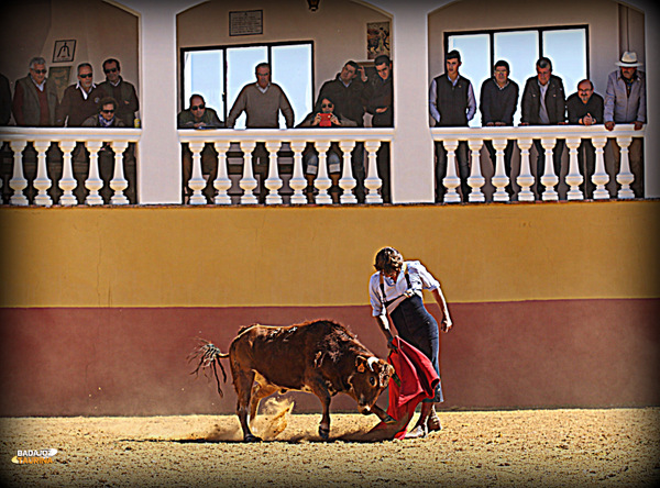 Lama de Góngora