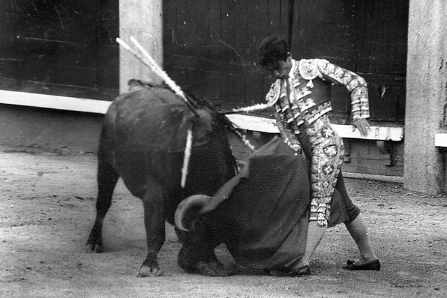 Luis Reina en Madrid dando un trincherazo a un santacoloma