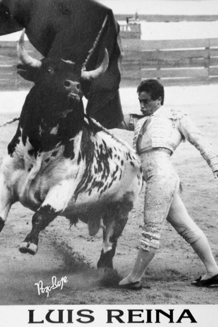 A pesar de su corte artista le tocó pechar con toros duros