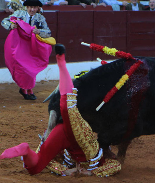 Instante de la voltereta sufrida por Rivera Ordóñez 'Paquirri' (FOTO: Mundotoro.com)