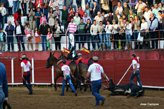 Vuelta al ruedo al sobrero de La Peregrina