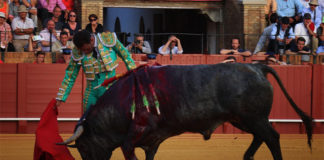 Antonio Ferrera en un pasaje de la catalogada como mejor faena de la feria de Sevilla (FOTO: M.Berho)