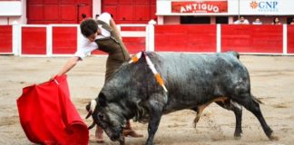 Ginés Marín en un momento de su preparación en México (FOTO: CEDIDA)