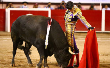 Natural de Alejandro Talavante en Aguascalientes (FOTO: Emilio Méndez)