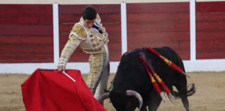 Davd Bolsico en una imagen de archivo (FOTO: Gallardo)