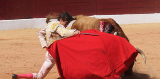 Ginés Marín en una imagen de archivo (FOTO: Gallardo)