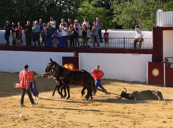 Vuelta al ruedo al tercero de la tarde