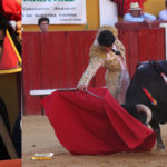 jdpx