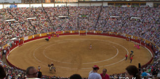 Aspecto de la plaza de toros de Badajoz. (FOTO: Gallardo)