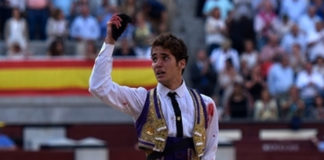 Posada de Maravillas con la oreja ganada a ley en Las Ventas (FOTO:Julián López-mundotoro.com)