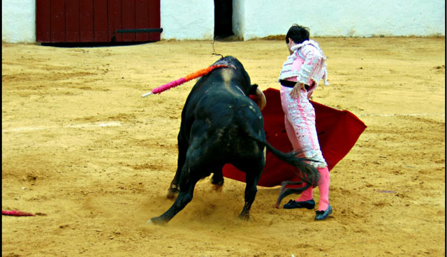 Juan Carlos Carballo