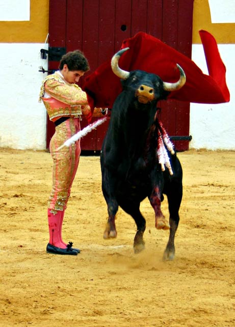 Ginés Marín