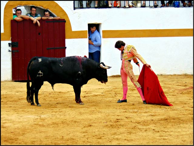 Ginés Marín