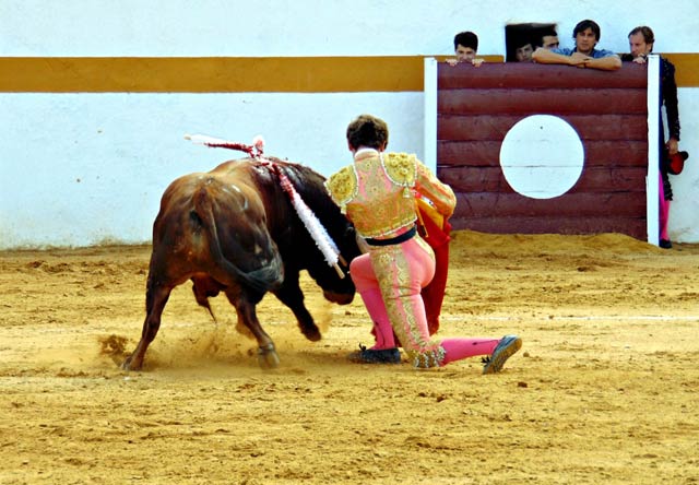 Ginés Marín