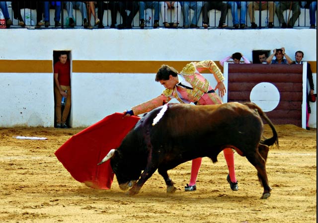 Ginés Marín