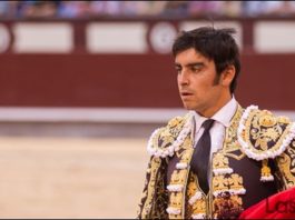 Perera cariacontecido dirigiéndose a las tablas en Las Ventas (FOTO: Juan Pelegrín)