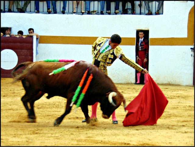 Ruiz Muñoz