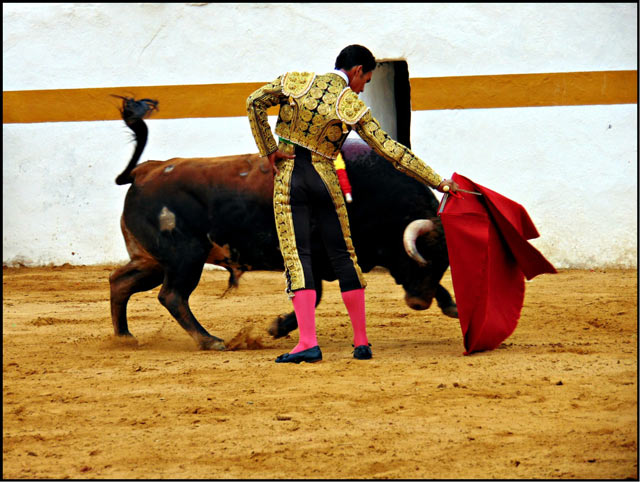 Ruiz Muñoz