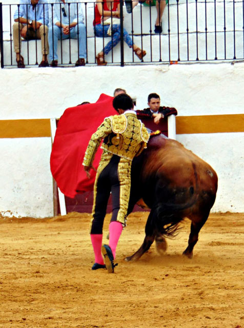Ruiz Muñoz