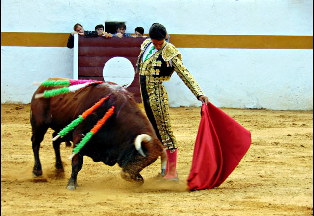 Ruiz Muñoz