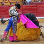 premio-ancar-toreo-de-capot