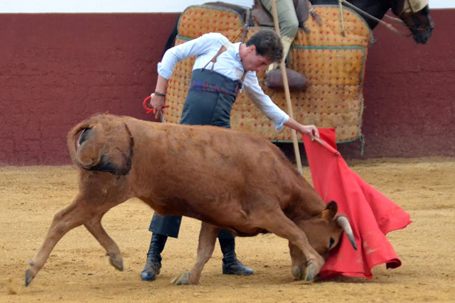 Tomás Angulo