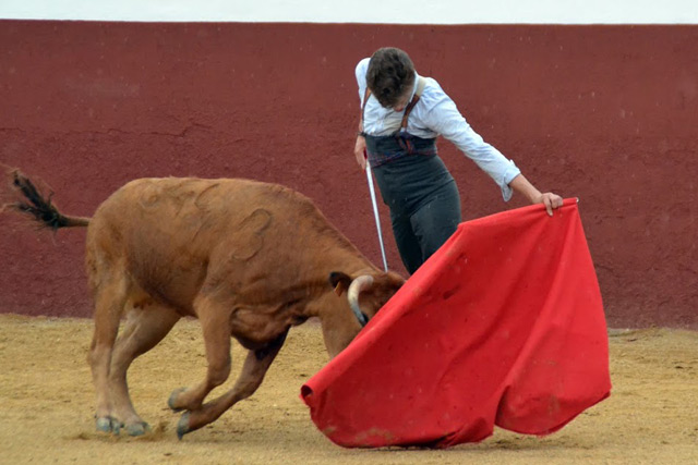 Tomás Angulo