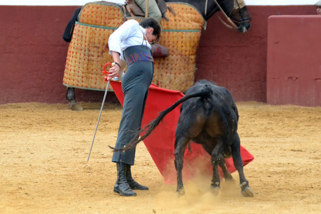 Tomás Angulo