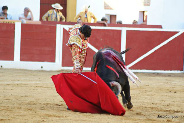 Luis Manuel Terrón