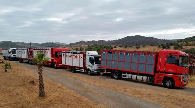 La famosa foto de los camiones saliendo de Los Bolsicos (@mulillero)