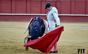 José Garrido durante su actuación en Málaga (FOTO: FIT)