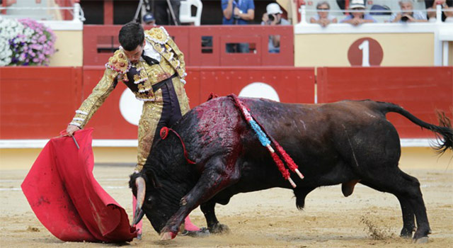 Muletazo a un novillo de Antonio Bañuelos en Bayona (FOTO: Bruno Lasnier)