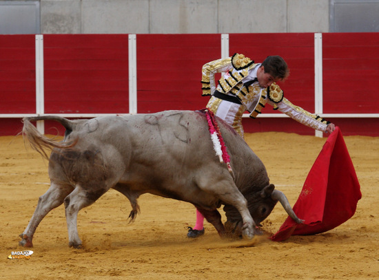 Tomás Angulo