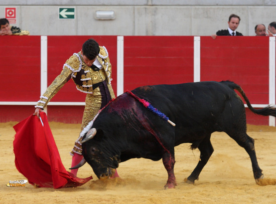 Tomás Campos