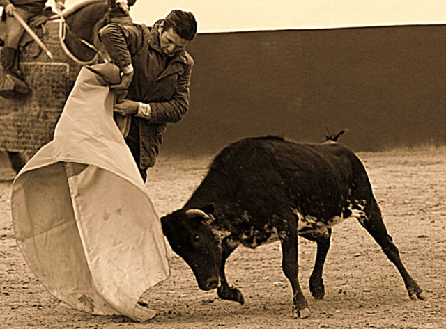 Que mantiene al día dando lecciones en el campo