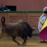 Ginés Marín durante su actuación de esta tarde en Arnedo (FOTO:Poyatos)