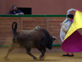 Ginés Marín durante su actuación de esta tarde en Arnedo (FOTO:Poyatos)